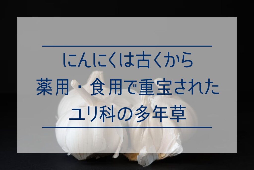 にんにくの効果・効能は?健康にいい栄養素から効果的な食べ方まで