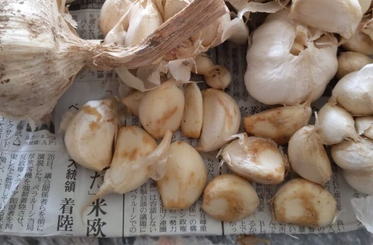 にんにくにカビが生えたらどうする?カビが生える原因と対処法を徹底解説 - 【公式】株式会社gella│にんにくの生産・販売