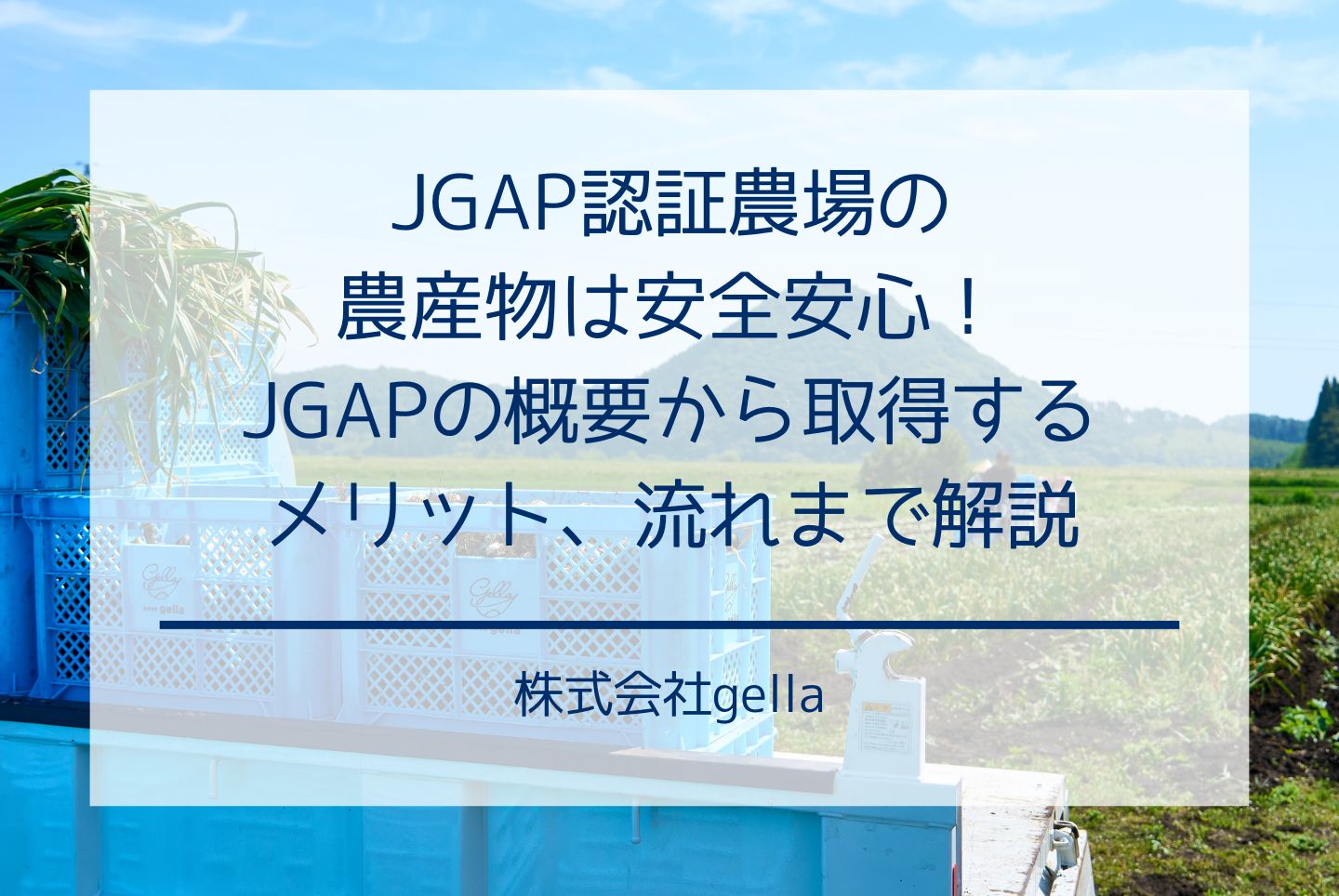 JGAP認証農場の農産物は安全安心！JGAPの概要から取得するメリット、流れまで解説