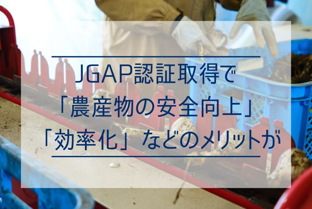 JGAP認証農場の農産物は安全安心！JGAPの概要から取得するメリット、流れまで解説