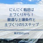 にんにく栽培は土づくりから！最適な土壌条件と土づくりの5ステップ