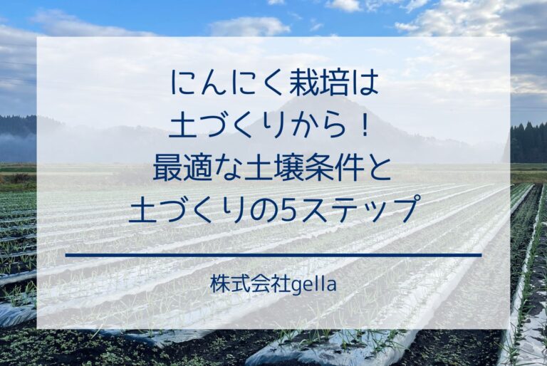 にんにく栽培は土づくりから！最適な土壌条件と土づくりの5ステップ