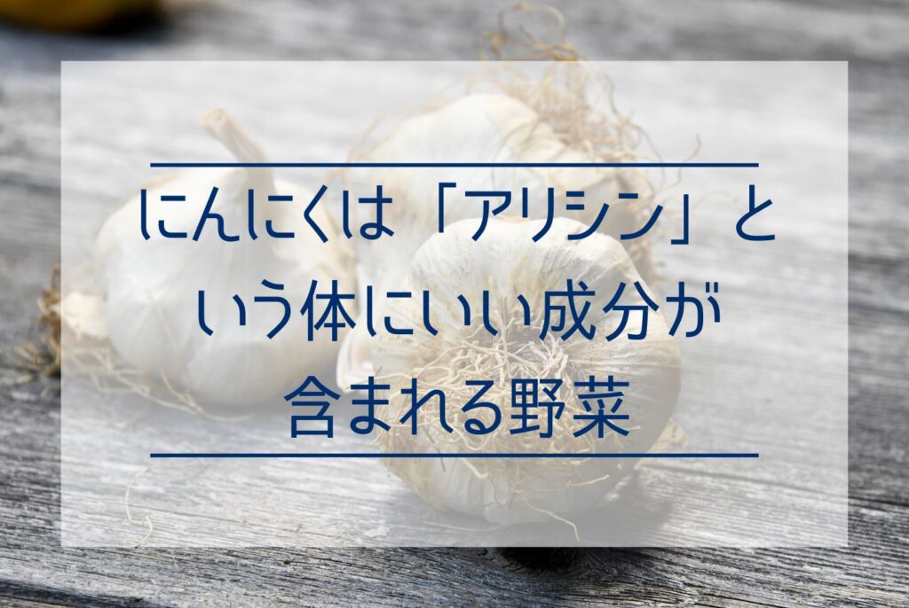 にんにくの栽培は家庭菜園でもできる？植え付けから収穫のポイントまで徹底解説