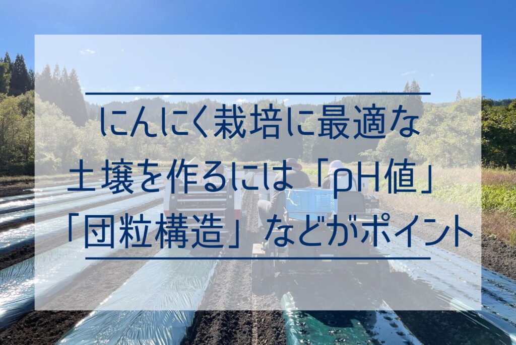 にんにく栽培は土づくりから！最適な土壌条件と土づくりの5ステップ