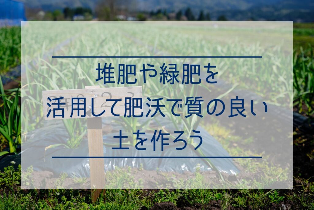 にんにく栽培は土づくりから！最適な土壌条件と土づくりの5ステップ