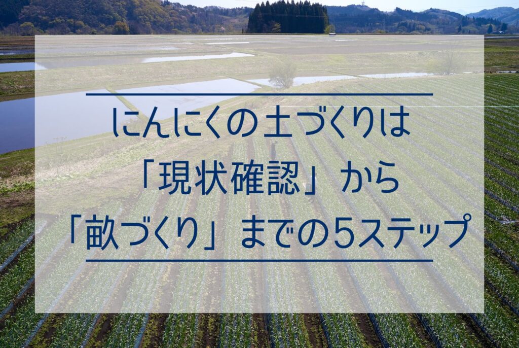 にんにく栽培は土づくりから！最適な土壌条件と土づくりの5ステップ