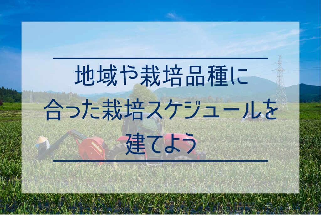 にんにく栽培は土づくりから！最適な土壌条件と土づくりの5ステップ