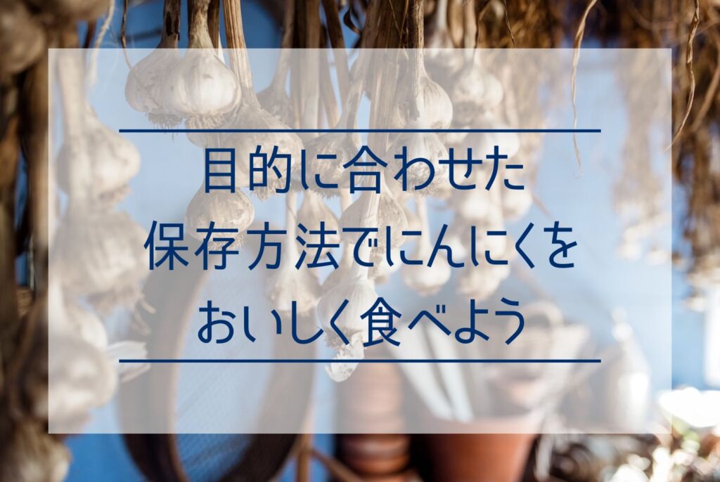 にんにくの栽培は家庭菜園でもできる？植え付けから収穫のポイントまで徹底解説