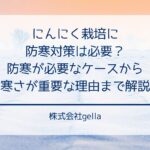 にんにく栽培に防寒対策は必要？防寒が必要なケースから寒さが重要な理由まで解説