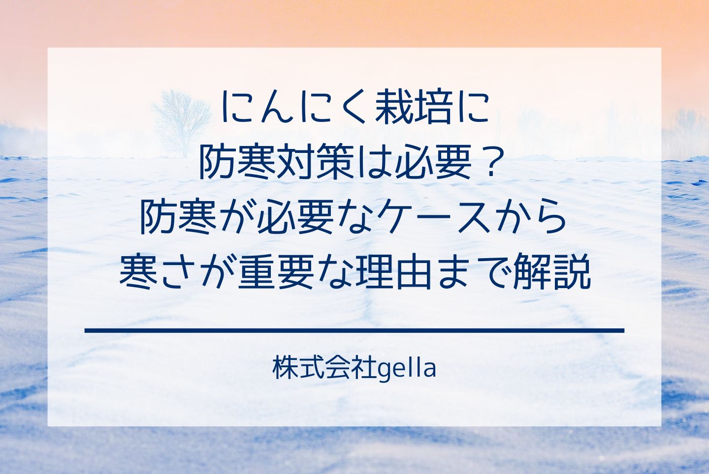 にんにく栽培に防寒対策は必要？防寒が必要なケースから寒さが重要な理由まで解説