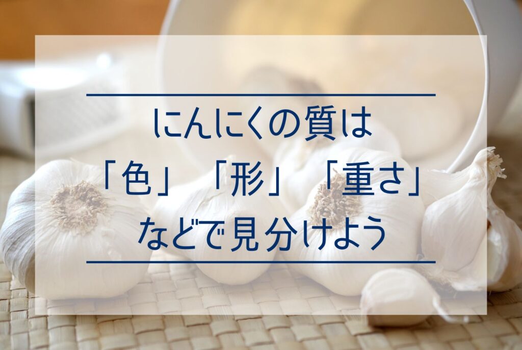 にんにくの1片は何グラム？チューブで使うときの目安やおすすめのレシピまで詳しく解説